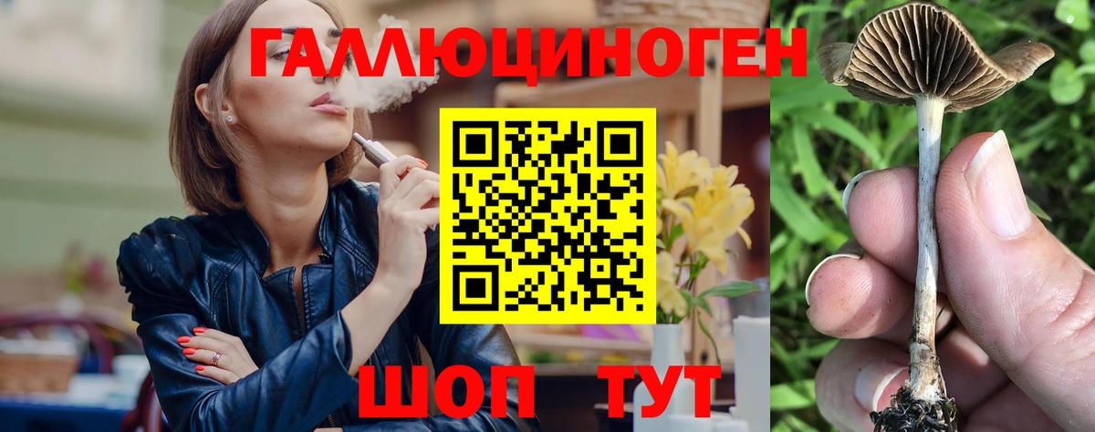 Верхняя Пышма  Псилоцибиновые грибы Psilocybine cubensis  Вход с VPN 